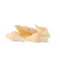 Zaccagni Conchiglioni Pasta