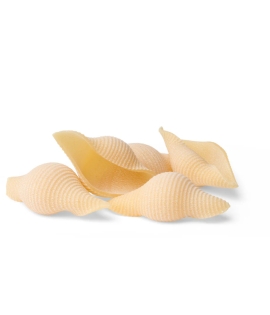 Zaccagni Conchiglioni Pasta