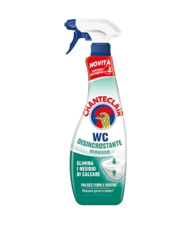 Chanteclair Foaming Toilet Descaler